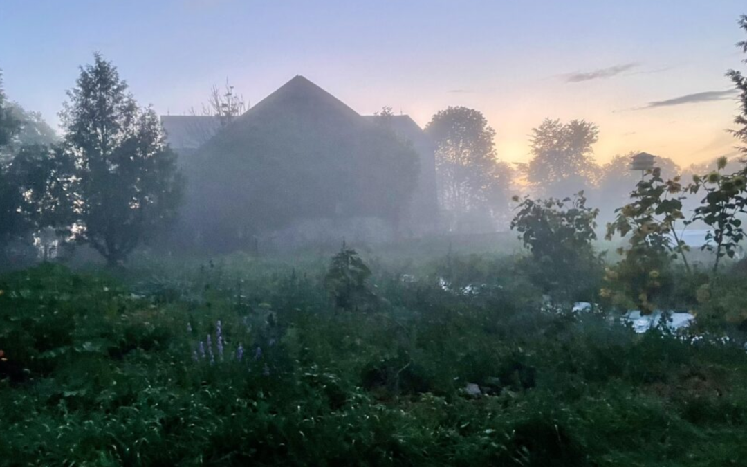 Seed Production & Community Connection with Luna Mia Farm & Persephone Market Garden
